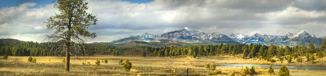 Elktrace Bed And Breakfast Pagosa Springs Exterior photo